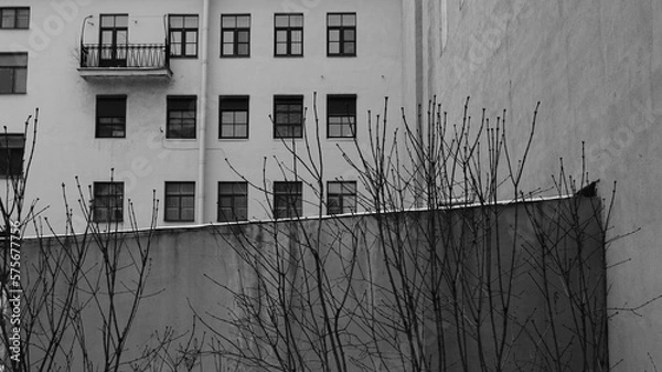 Obraz Gloomy urban landscape: dry branches against the background of plain walls and windows