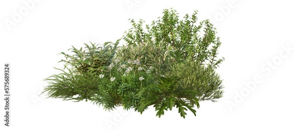 Obraz A small garden with flowers and shrubs. On a transparent background