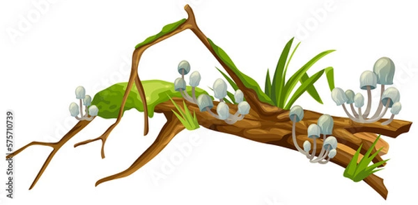 Obraz Mushrooms, moss on logs. Cartoon stump in toadstools in swamp forest. Poisonous  shrooms, broken tree in tropical damp jungle. Isolated vector element on white background for computer game.