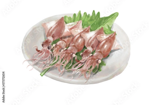 Obraz 水彩のホタルイカ01_4