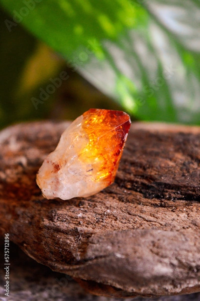 Fototapeta Citrine quartz on garden background
