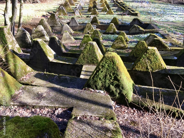 Obraz  Westwall, known as WWII Siegfried line, panzer stones or anti tank barriers on a military training area in Germany