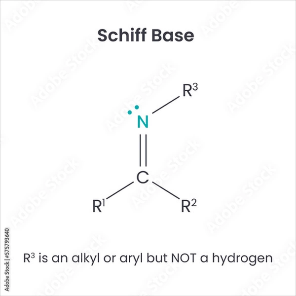Fototapeta Schiff Base Biochemistry Functional Group science vector infographic