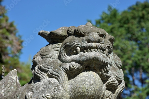 Fototapeta 伊豆神田神社　本殿の狛犬　滋賀県大津市今堅田