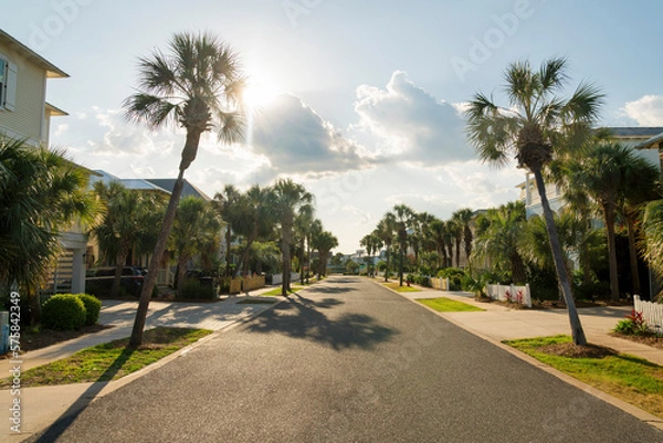 Fototapeta Destin, Florida- Street in a residential area with sidewalks along the palm trees on the sides. Asphalt road in the middle of fenced houses and a background of sun and clouds in the sky.