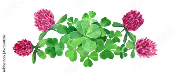 Fototapeta Watercolor drawn clover grass border. Botany composition with four leaves green clover, flowers. Saint Patrick day background. Design for Ireland season holiday offer, covers, fabric, labels.