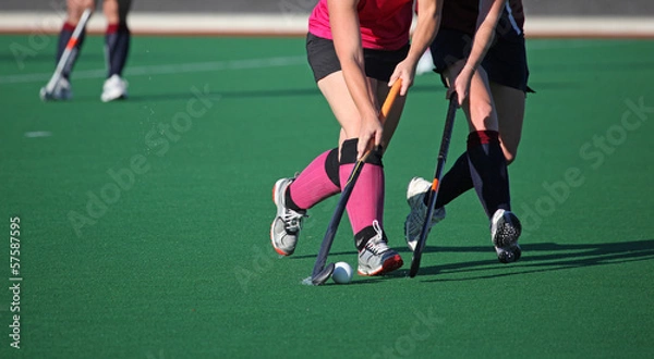 Obraz Hokej na trawie
