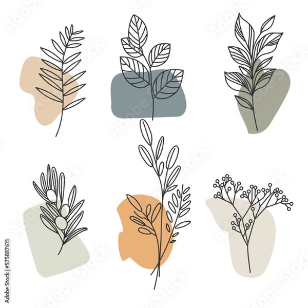 Obraz Aesthetic plant elements, leaves and branches. Template
