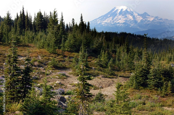Obraz Mount Rainier, Washington state USA