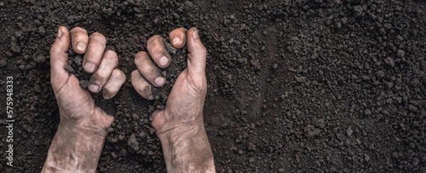 Fototapeta Farmer hands full of soil earth ground. Fertile soil background. Handful of dirt hands holding soil hands touching ground. Organic farming. Save earth day. Chernozem. Ukraine field agriculture concept