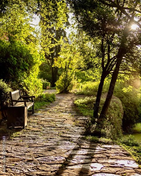 Obraz Garden pathway lit by afternoon sun with wooden bench.