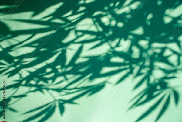 Fototapeta Background shadow cannabis leaves on mint background top view. The concept of legalization. Contrasting shadows