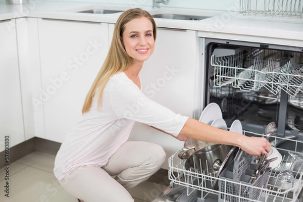 Fototapeta Smiling gorgeous model kneeling next to dish washer