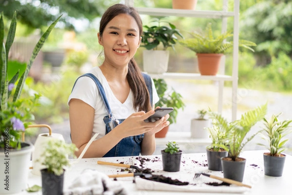 Fototapeta Hobby, asian young woman hand using mobile phone, cellphone taking photo of pot, houseplant with dirt soil on table at home, gardening tree plant in garden farm, green tropical, beauty and nature.