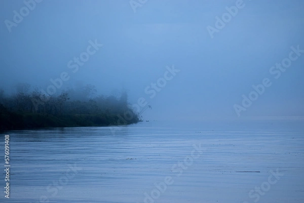 Obraz forest between the
fog