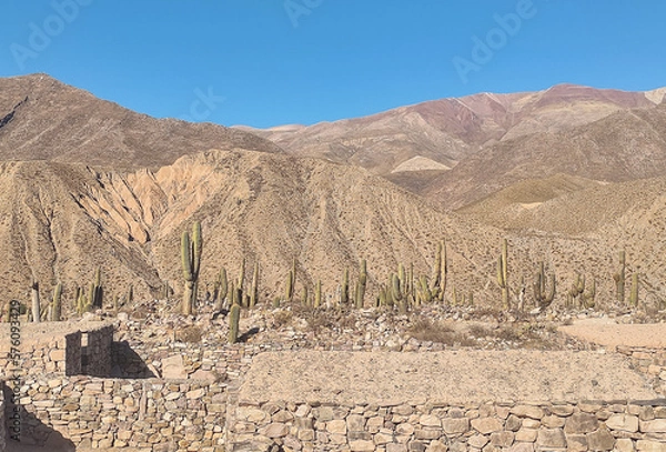 Obraz landscape in the desert