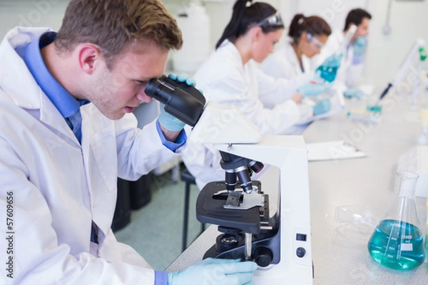 Fototapeta Busy researchers working on experiments in the lab