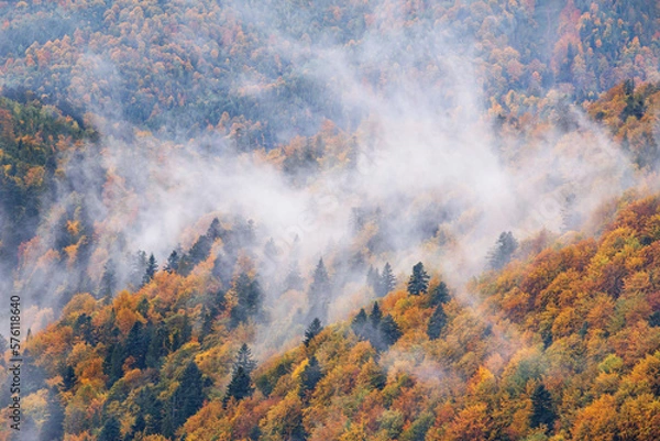 Fototapeta Autumn landscape - view of the mountains covered with forest under the autumn sky in the Carpathians, Ukraine