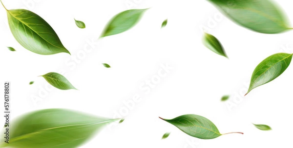 Fototapeta Green Floating Leaves Flying Leaves Green Leaf Dancing, Air Purifier Atmosphere Simple Main Picture.