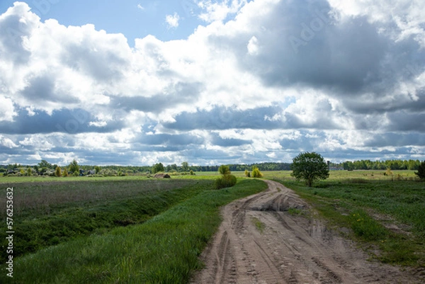 Obraz Peyhaage is from the field and forest in the distance, a sandy road and a small tree on the side of the road.