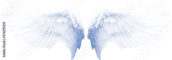 Obraz Realistic angel wings. White wing isolated. png transparency