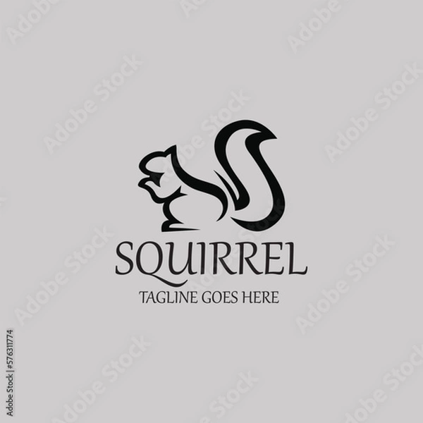 Fototapeta Squirrel logo design template. Vector illustration