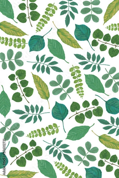 Fototapeta 植物模様の背景素材