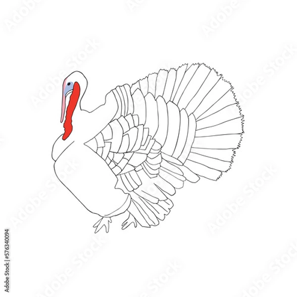 Obraz Turkey hand drawn on white background illustration.