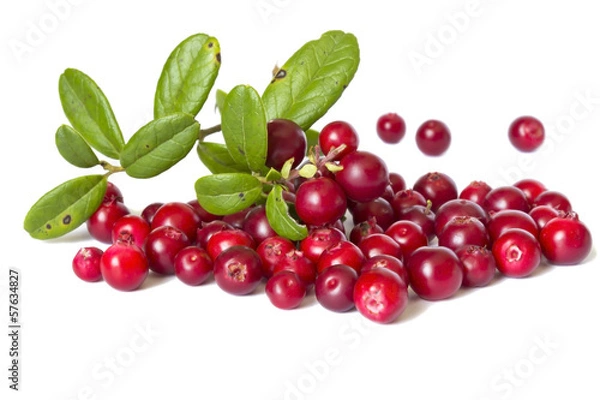 Fototapeta ripe cranberries