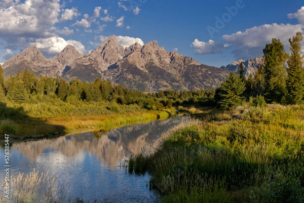 Fototapeta Tetons Refelcted in a Quiet Stretch of the Snake River