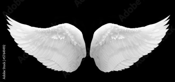 Obraz białe skrzydło anioła na białym tle