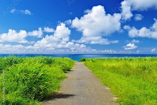 Obraz 沖縄県小浜島南側の道と空と雲