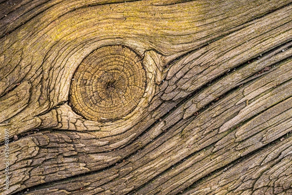 Fototapeta board structure with a knot