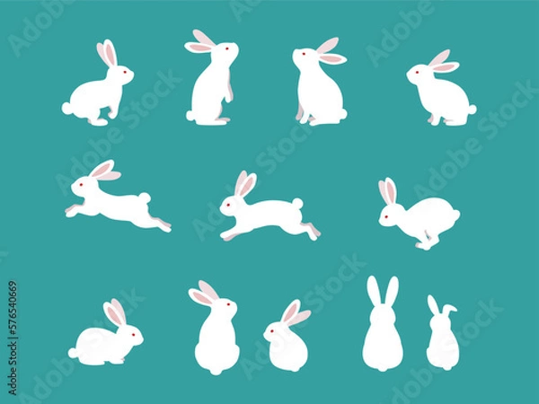 Fototapeta Cute white rabbits in various poses. Rabbit animal icon isolated on background.