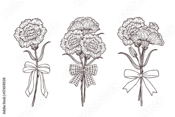 Obraz スケッチ風カーネーションの花束イラストセット　線画　ベクター