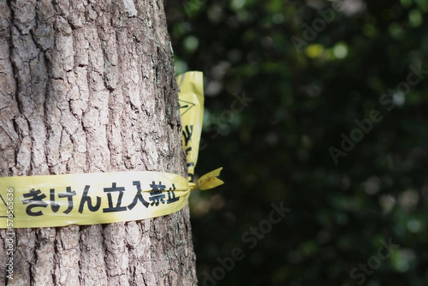 Fototapeta 自然を壊さないで。立入禁止。危険。森が泣いている。
