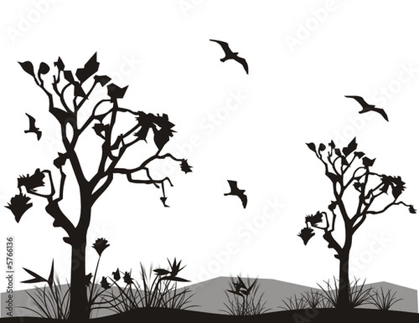 Fototapeta vector nature illustration