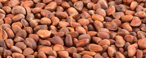 Obraz Background of pine nuts.