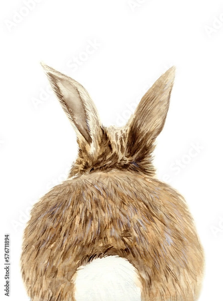 Fototapeta Watercolor illustration of a funny fluffy gray rabbit or hare with long ears sitting with its back with a white tail towards the viewer
