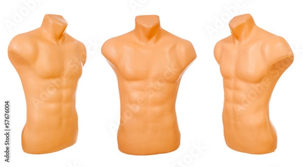 Obraz Male mannequin