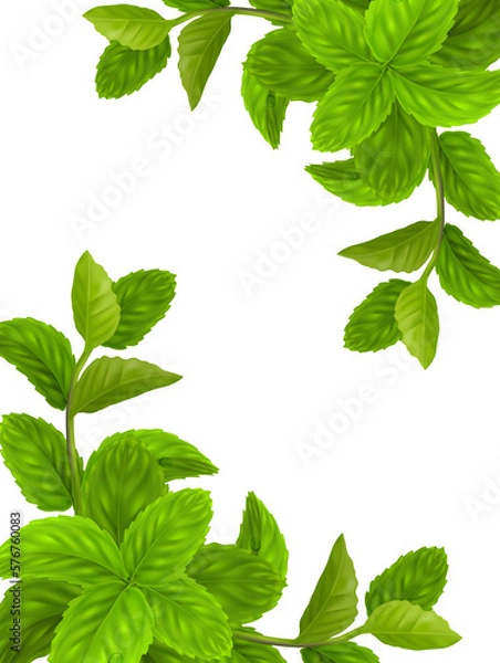Obraz Mint Spearmint Peppermint Leaf 