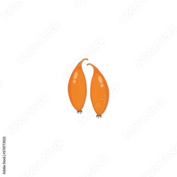 Fototapeta Shallot. Whole red French shallots. Vector illustration isolated on white background. For template label, packing, web, menu, logo, textile, icon
