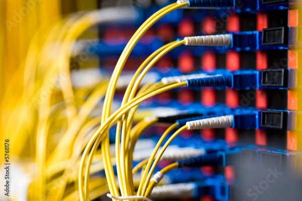Obraz A shot of network cables connected to switch