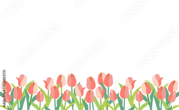 Obraz チューリップの花のフレームイラスト