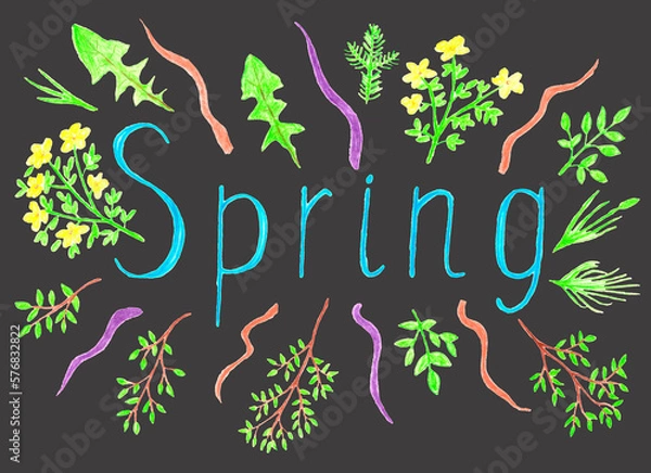 Obraz Illustration of spring word decorated with plants, flowers and branches hand drawn with colored pencils isolated on grey background