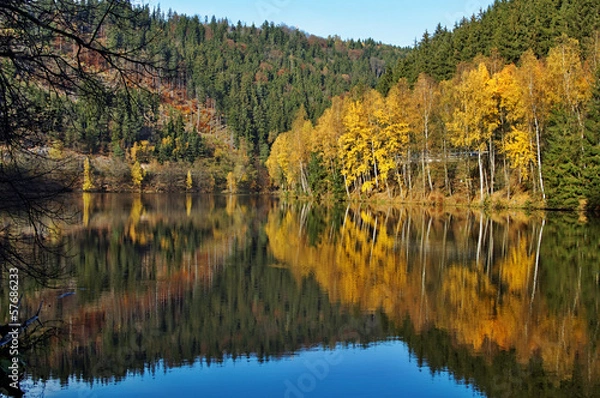 Fototapeta Trees with autumn leaves mirror above the surface of the pond
