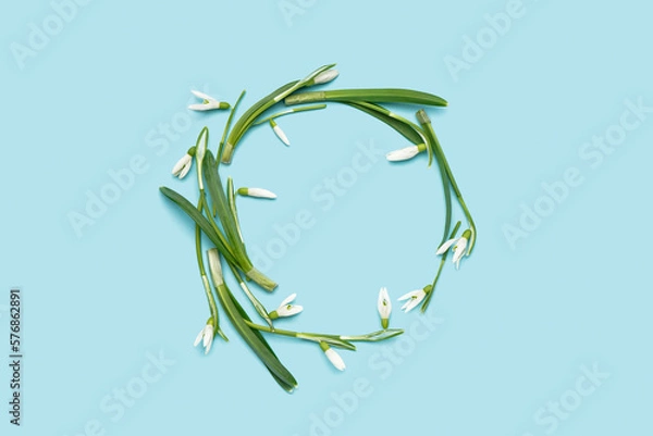 Fototapeta Frame made of beautiful snowdrops on blue background