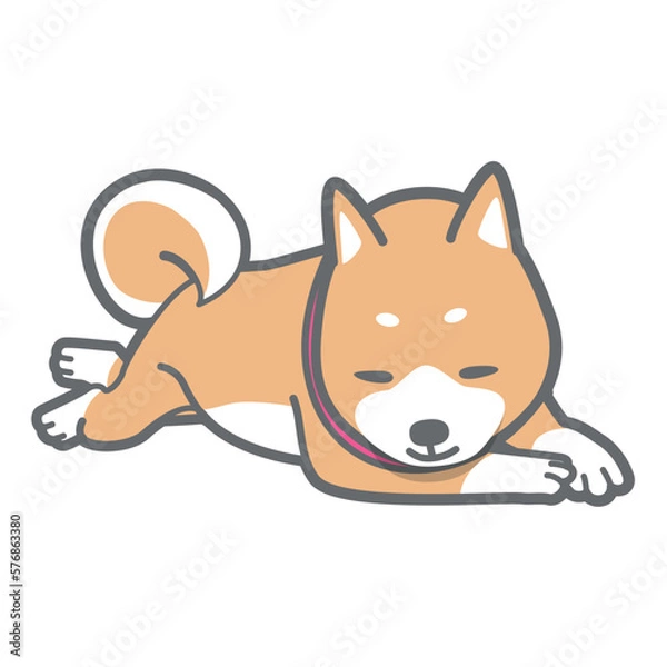 Obraz 柴犬のベクターイラスト