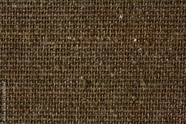 Fototapeta Holsteen texture for oil painting. Close-up