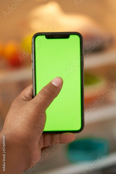 Obraz hand holding smart phone with screen